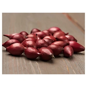 CIBUĽA sadzačka KARMEN - bal. 250g