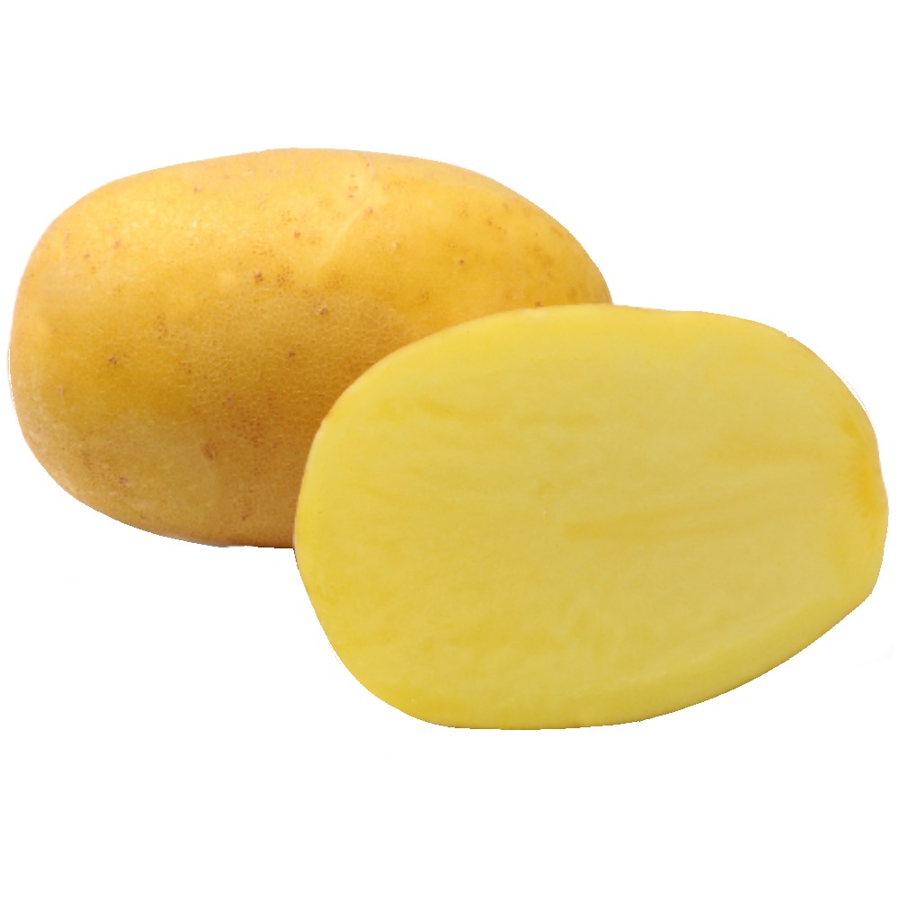 Zemiaky sadbové stredne skoré AGRIA 5kg